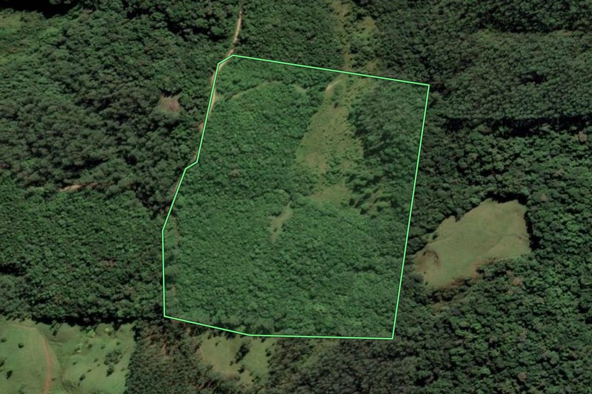 Imagem de satélite do imóvel rural em Rio Fortuna (SC), com o contorno declarado no CAR desenhado por cima.