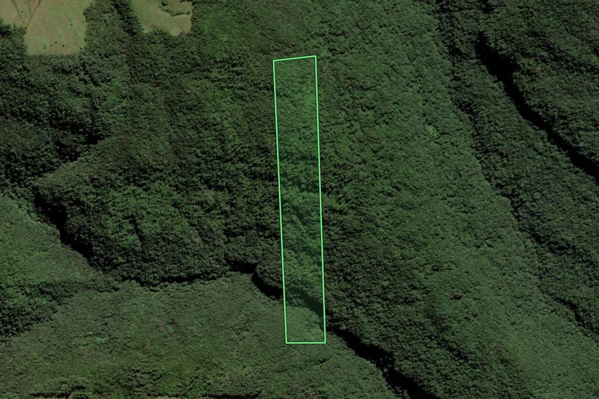 Imagem de satélite do imóvel rural em Rio Fortuna (SC), com o contorno declarado no CAR desenhado por cima.