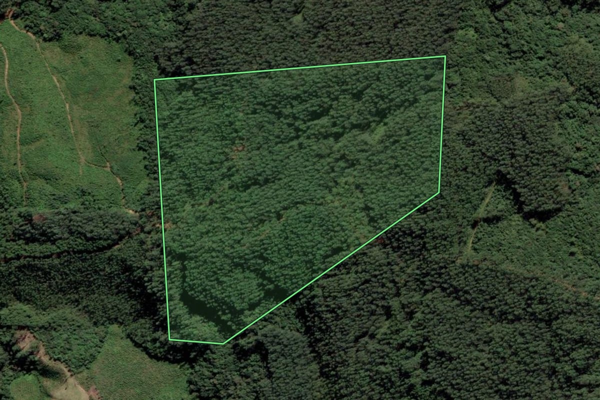 Imagem de satélite do imóvel rural em Rio Fortuna (SC), com o contorno declarado no CAR desenhado por cima.