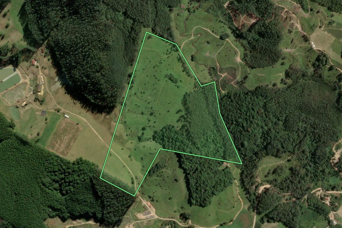Imagem de satélite do imóvel rural em Rio Fortuna (SC), com o contorno declarado no CAR desenhado por cima.
