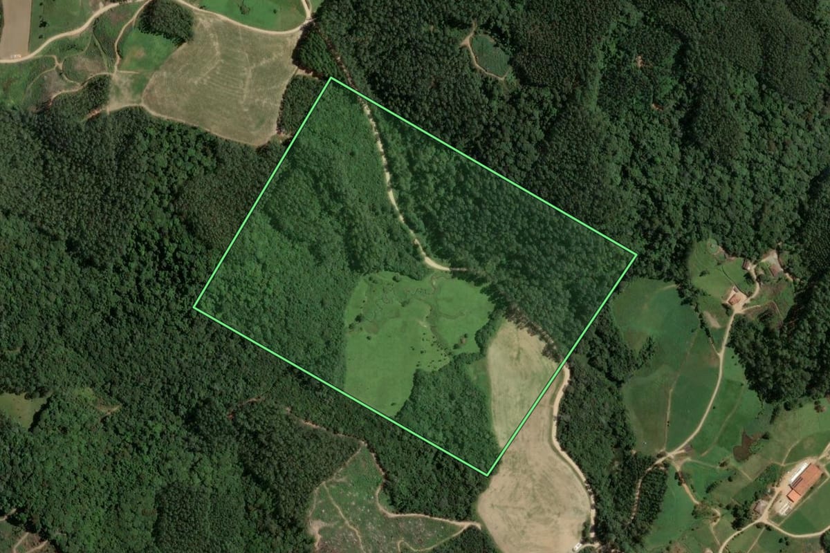 Imagem de satélite do imóvel rural em Rio Fortuna (SC), com o contorno declarado no CAR desenhado por cima.