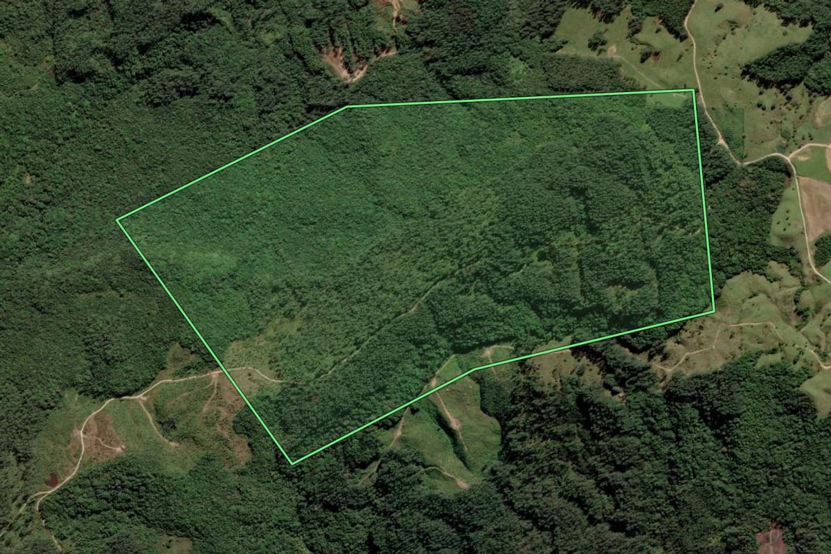 Imagem de satélite do imóvel rural em Rio Fortuna (SC), com o contorno declarado no CAR desenhado por cima.