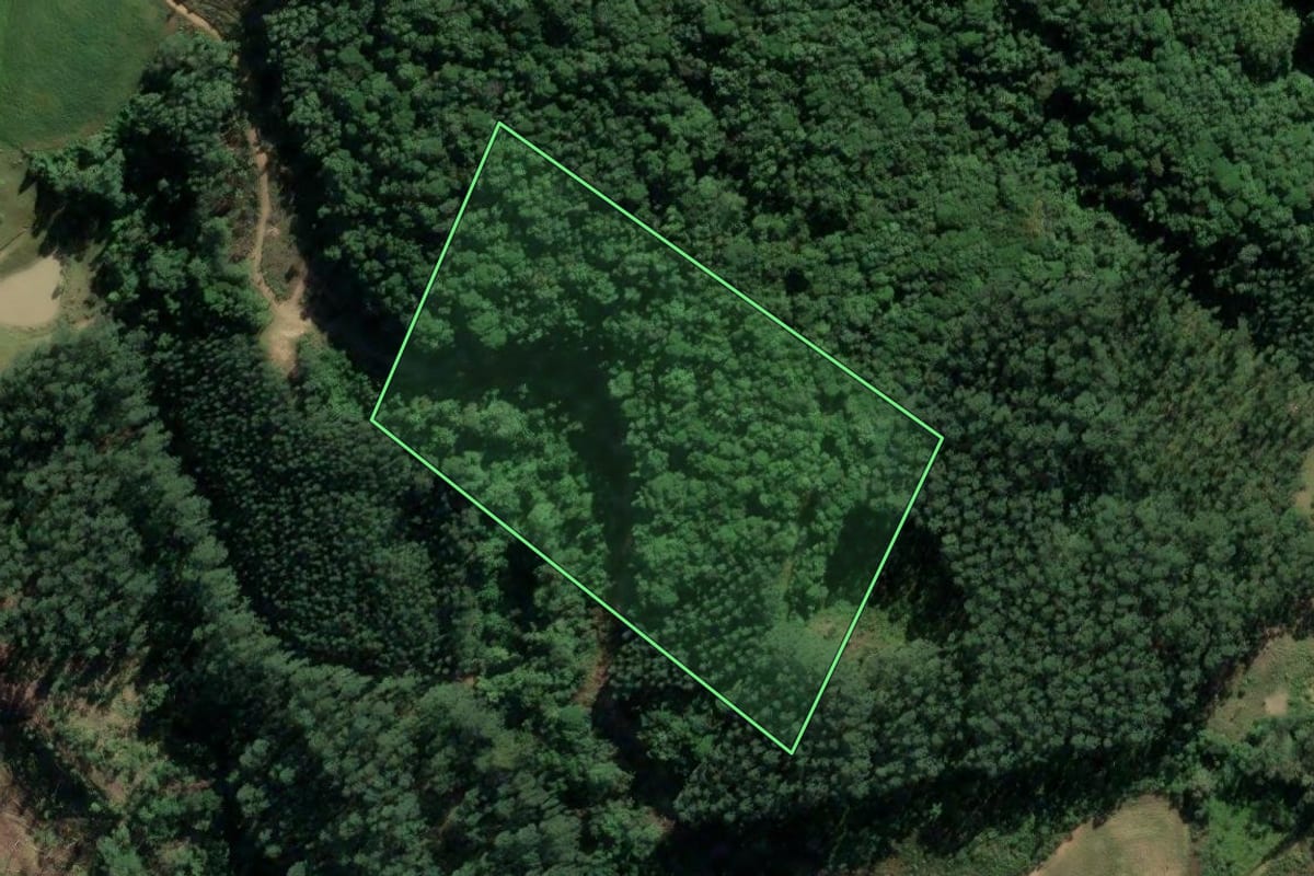 Imagem de satélite do imóvel rural em Rio Fortuna (SC), com o contorno declarado no CAR desenhado por cima.