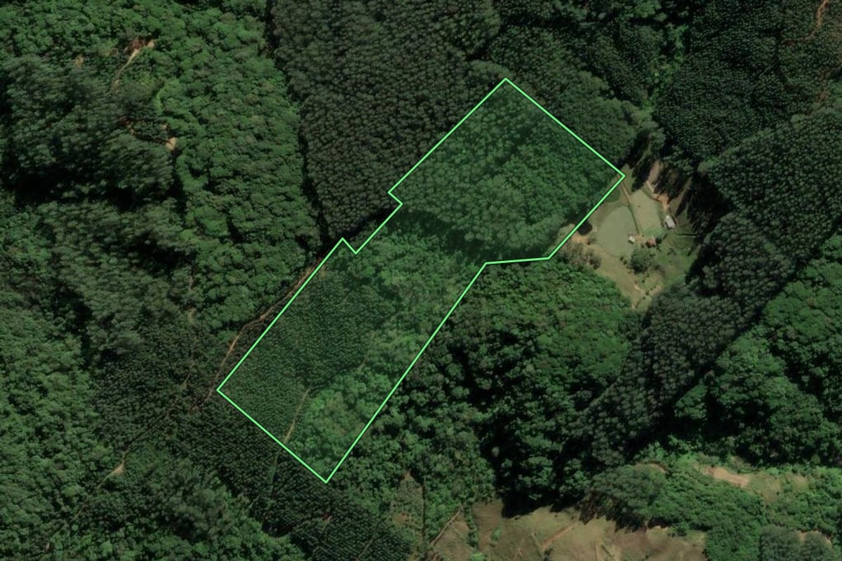 Imagem de satélite do imóvel rural em Rio Fortuna (SC), com o contorno declarado no CAR desenhado por cima.