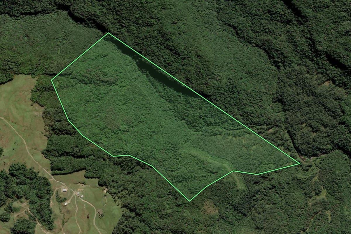 Imagem de satélite do imóvel rural em Rio Fortuna (SC), com o contorno declarado no CAR desenhado por cima.