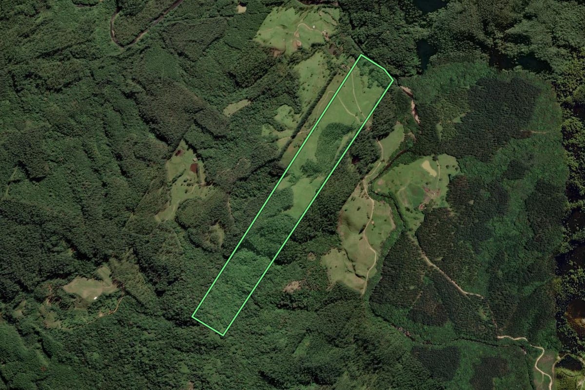 Imagem de satélite do imóvel rural em Rio Fortuna (SC), com o contorno declarado no CAR desenhado por cima.