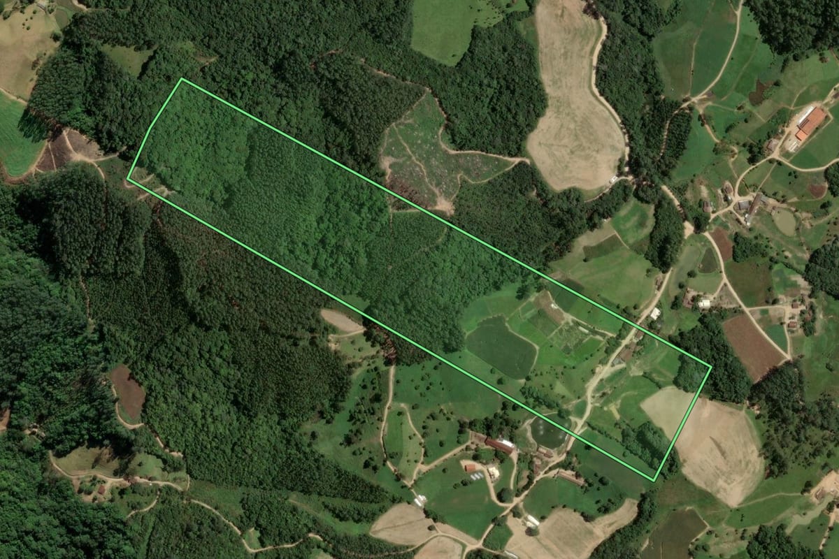 Imagem de satélite do imóvel rural em Rio Fortuna (SC), com o contorno declarado no CAR desenhado por cima.