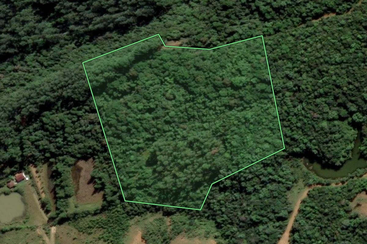 Imagem de satélite do imóvel rural em Rio Fortuna (SC), com o contorno declarado no CAR desenhado por cima.