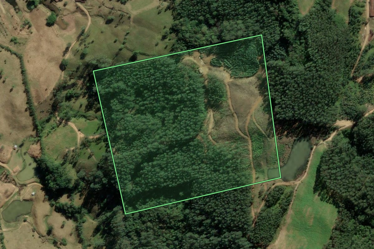 Imagem de satélite do imóvel rural em Rio Fortuna (SC), com o contorno declarado no CAR desenhado por cima.