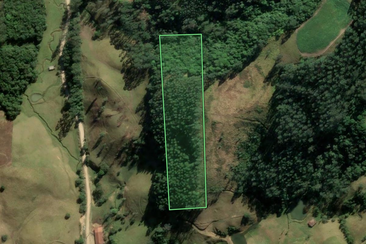 Imagem de satélite do imóvel rural em Rio Fortuna (SC), com o contorno declarado no CAR desenhado por cima.