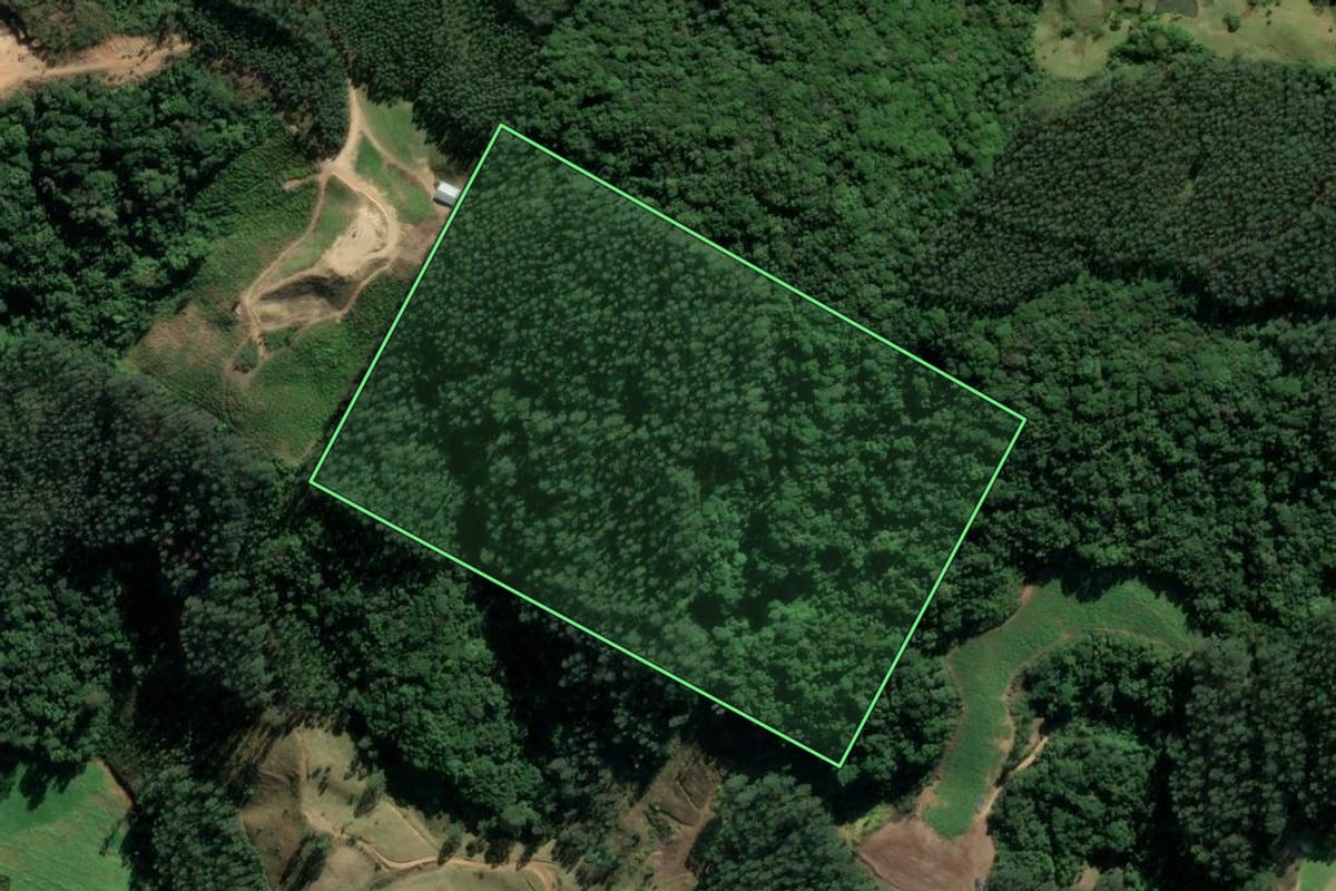 Imagem de satélite do imóvel rural em Rio Fortuna (SC), com o contorno declarado no CAR desenhado por cima.