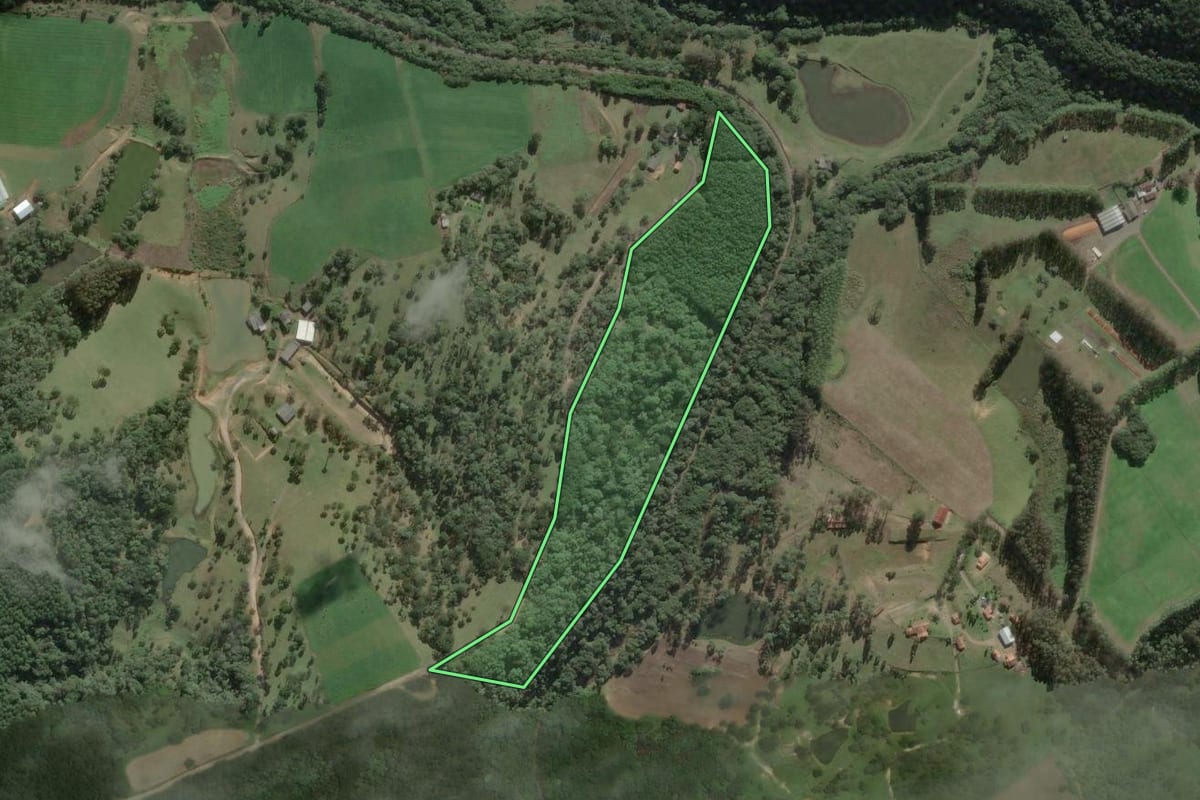 Imagem de satélite do imóvel rural em Rio Negrinho (SC), com o contorno declarado no CAR desenhado por cima.