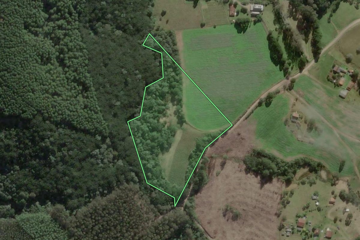 Imagem de satélite do imóvel rural em Rio Negrinho (SC), com o contorno declarado no CAR desenhado por cima.