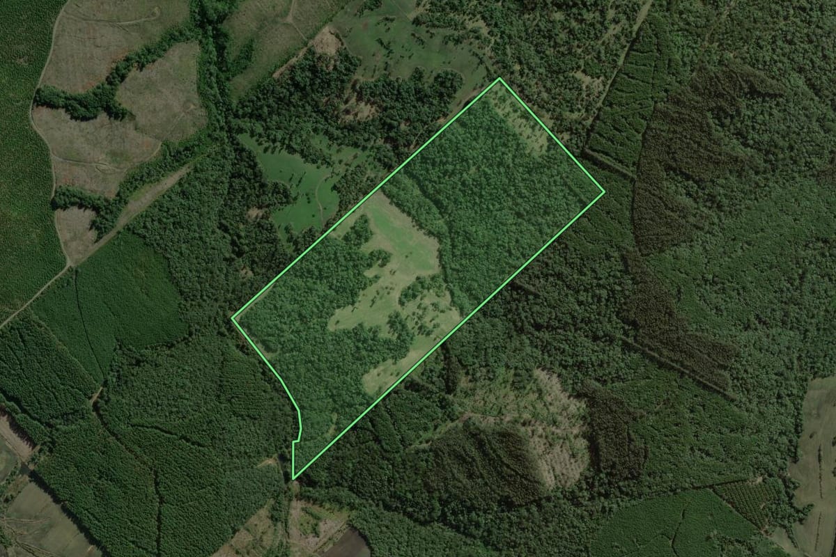 Imagem de satélite do imóvel rural em Rio Negrinho (SC), com o contorno declarado no CAR desenhado por cima.