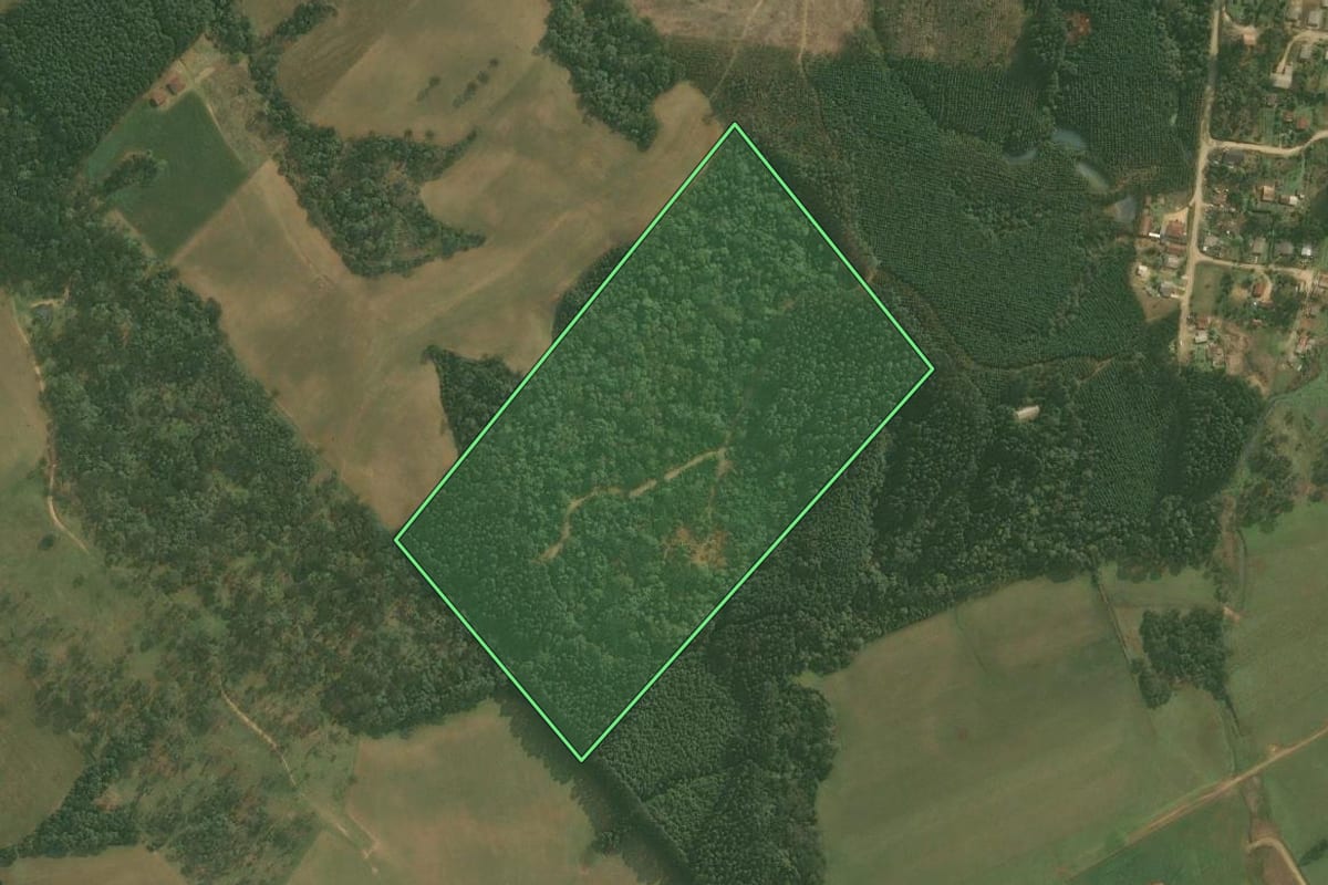 Imagem de satélite do imóvel rural em Rio Negrinho (SC), com o contorno declarado no CAR desenhado por cima.