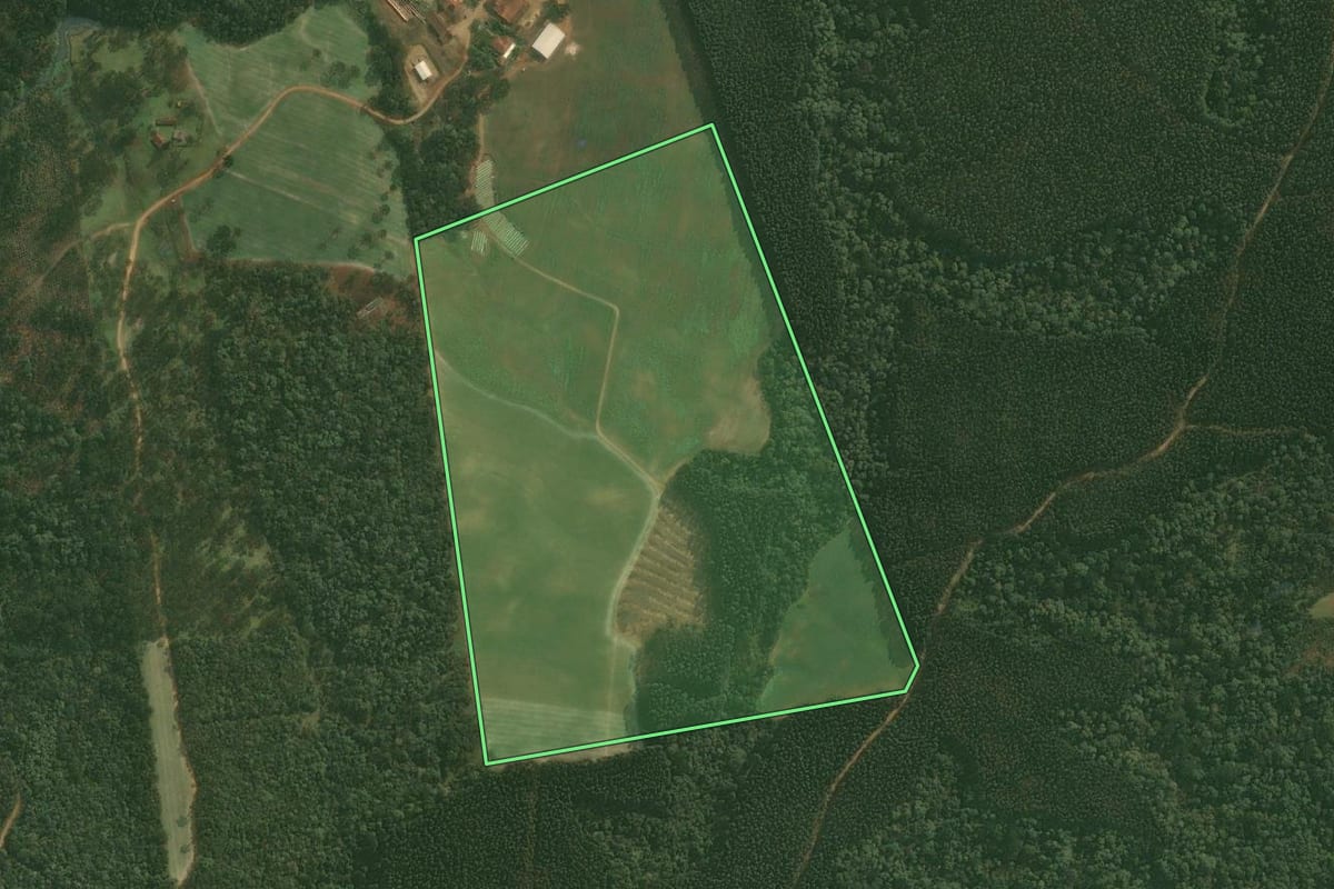 Imagem de satélite do imóvel rural em Rio Negrinho (SC), com o contorno declarado no CAR desenhado por cima.