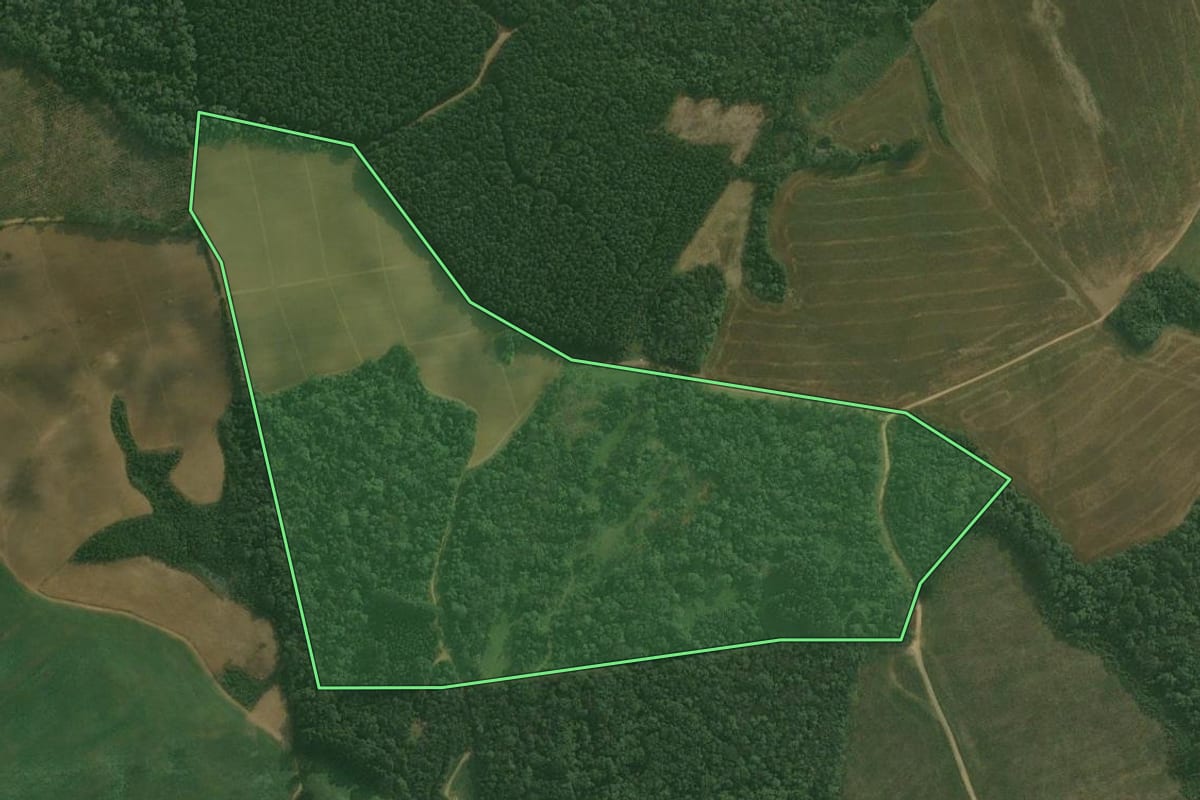 Imagem de satélite do imóvel rural em Rio Negrinho (SC), com o contorno declarado no CAR desenhado por cima.