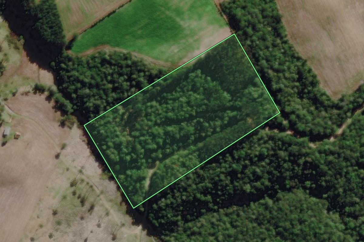 Imagem de satélite do imóvel rural em Rio Negrinho (SC), com o contorno declarado no CAR desenhado por cima.