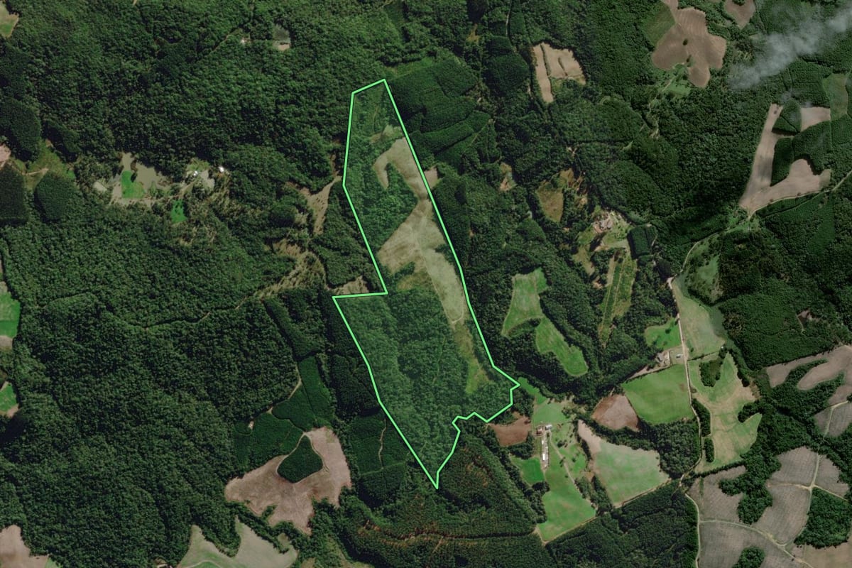 Imagem de satélite do imóvel rural em Rio Negrinho (SC), com o contorno declarado no CAR desenhado por cima.