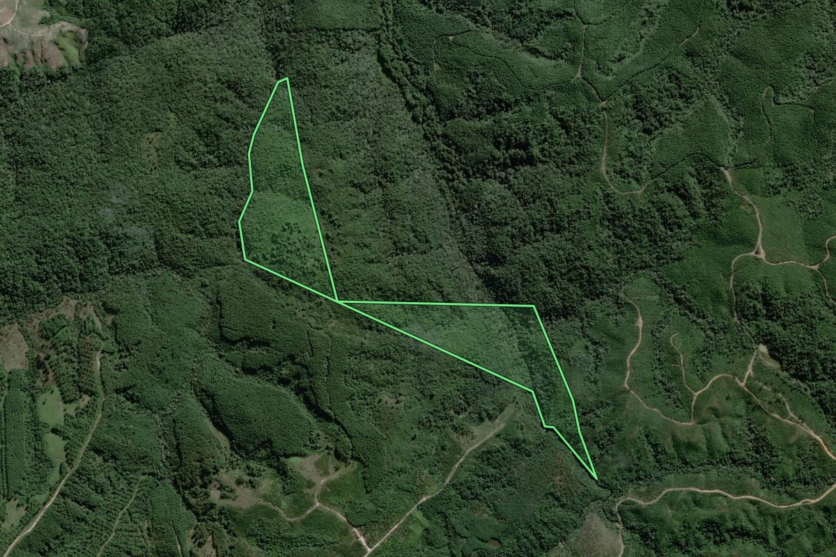 Imagem de satélite do imóvel rural em Rio Negrinho (SC), com o contorno declarado no CAR desenhado por cima.