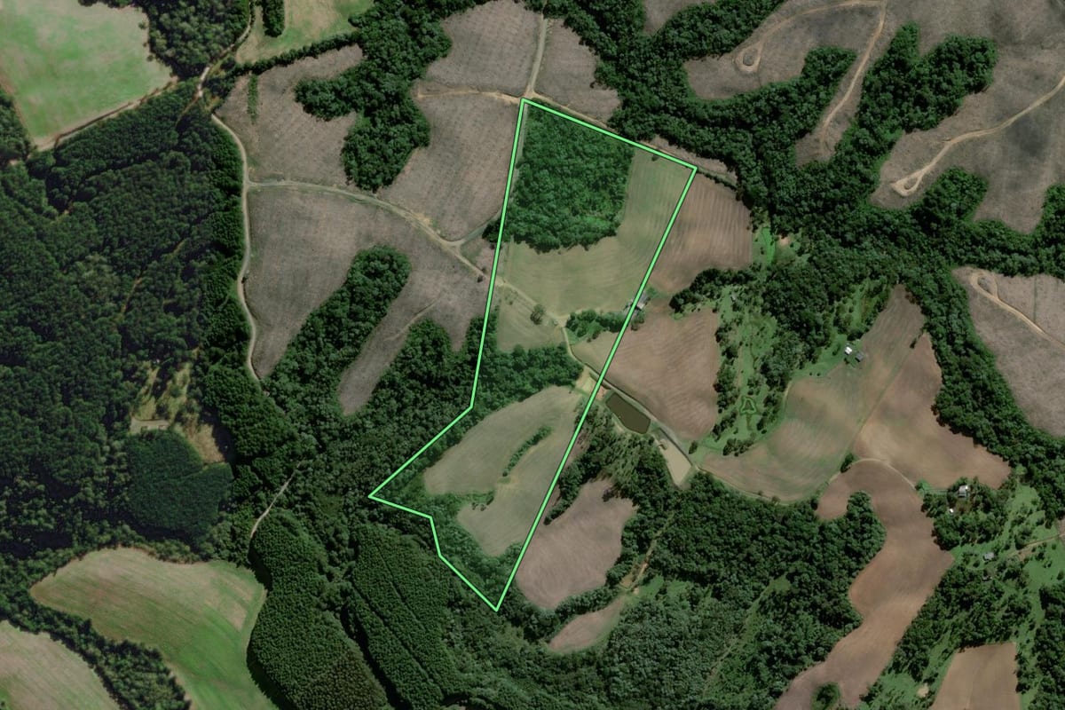Imagem de satélite do imóvel rural em Rio Negrinho (SC), com o contorno declarado no CAR desenhado por cima.