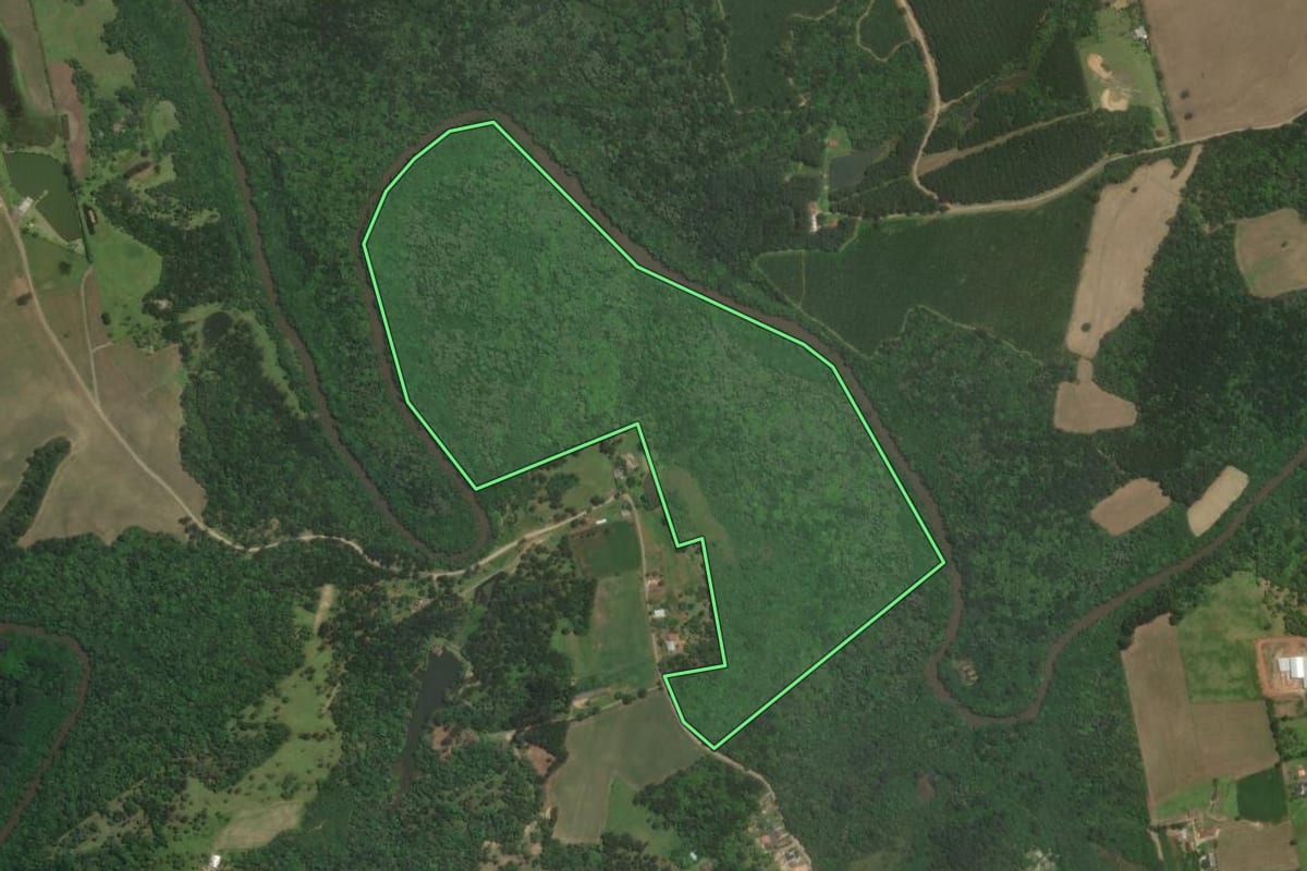 Imagem de satélite do imóvel rural em Rio Negrinho (SC), com o contorno declarado no CAR desenhado por cima.
