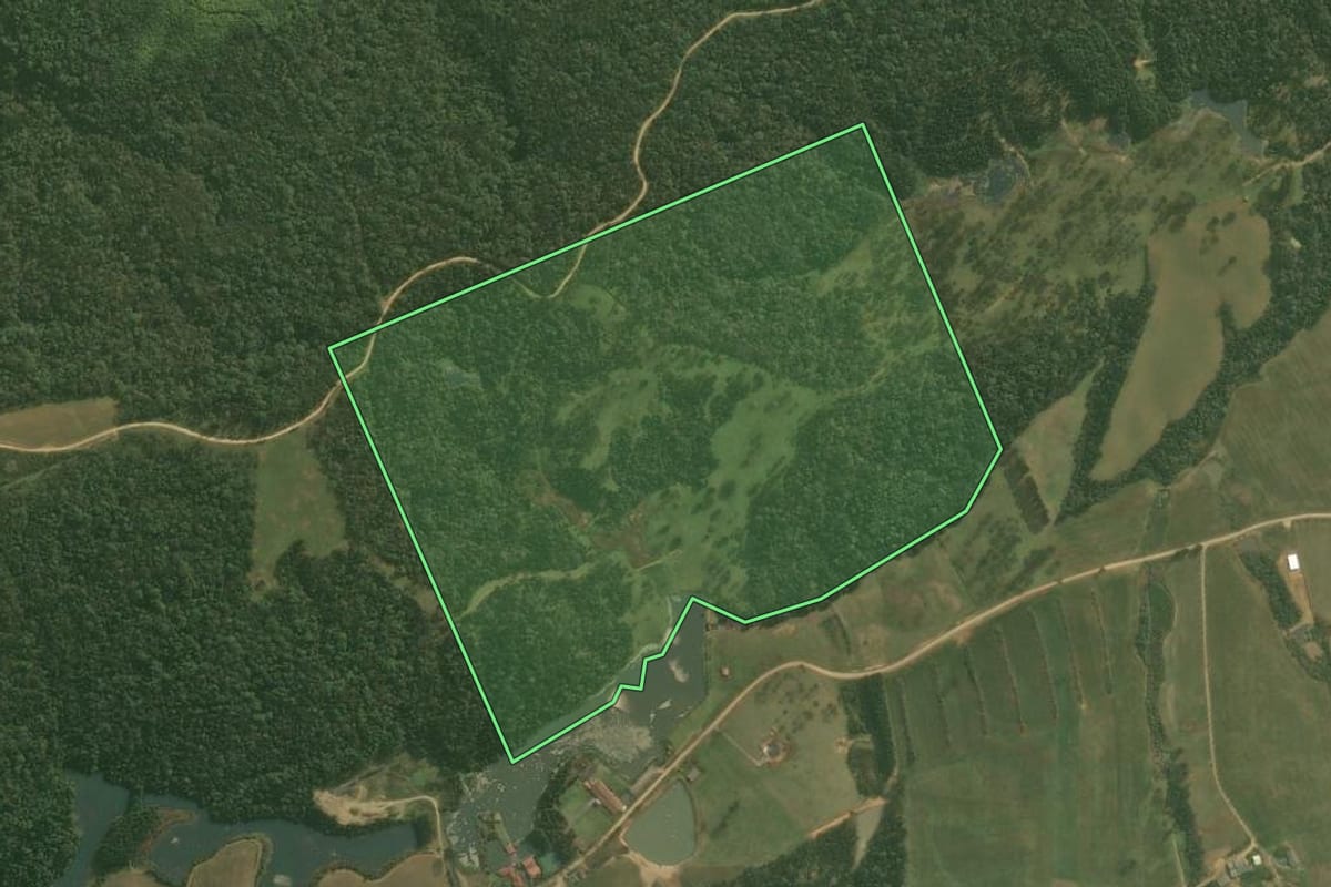Imagem de satélite do imóvel rural em Rio Negrinho (SC), com o contorno declarado no CAR desenhado por cima.