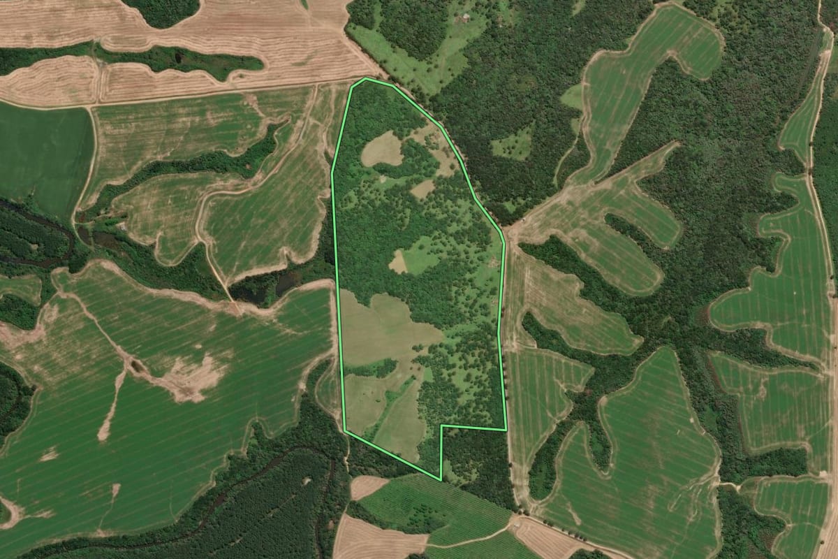 Imagem de satélite do imóvel rural em Rio Negrinho (SC), com o contorno declarado no CAR desenhado por cima.