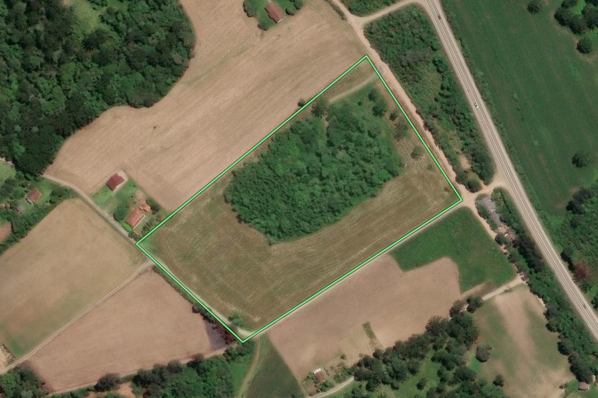 Imagem de satélite do imóvel rural em Rio Negrinho (SC), com o contorno declarado no CAR desenhado por cima.