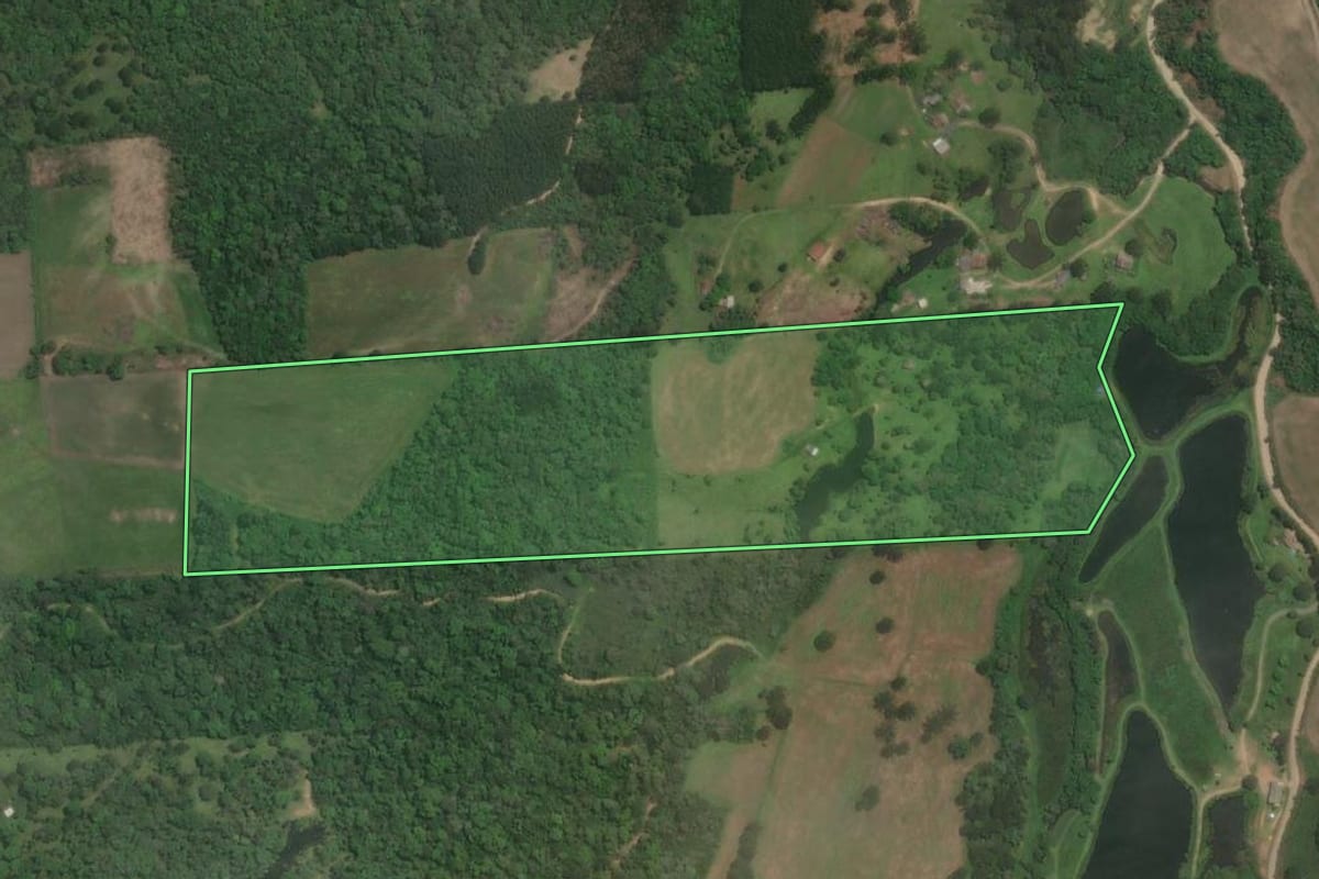 Imagem de satélite do imóvel rural em Rio Negrinho (SC), com o contorno declarado no CAR desenhado por cima.