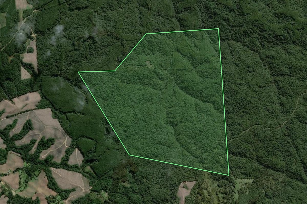 Imagem de satélite do imóvel rural em Rio Negrinho (SC), com o contorno declarado no CAR desenhado por cima.
