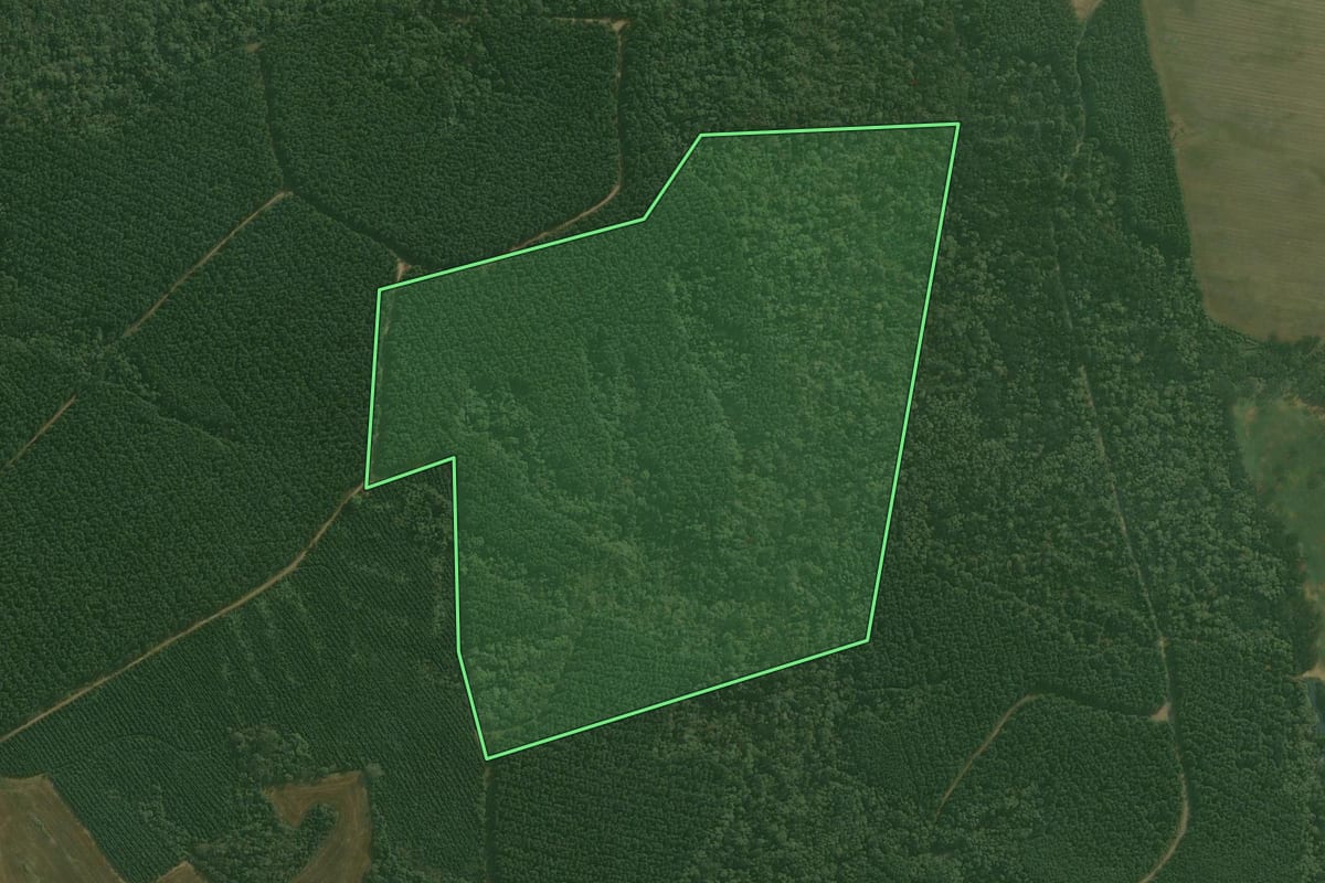 Imagem de satélite do imóvel rural em Rio Negrinho (SC), com o contorno declarado no CAR desenhado por cima.