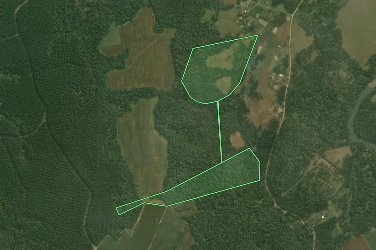 Imagem de satélite do imóvel rural em Rio Negrinho (SC), com o contorno declarado no CAR desenhado por cima.