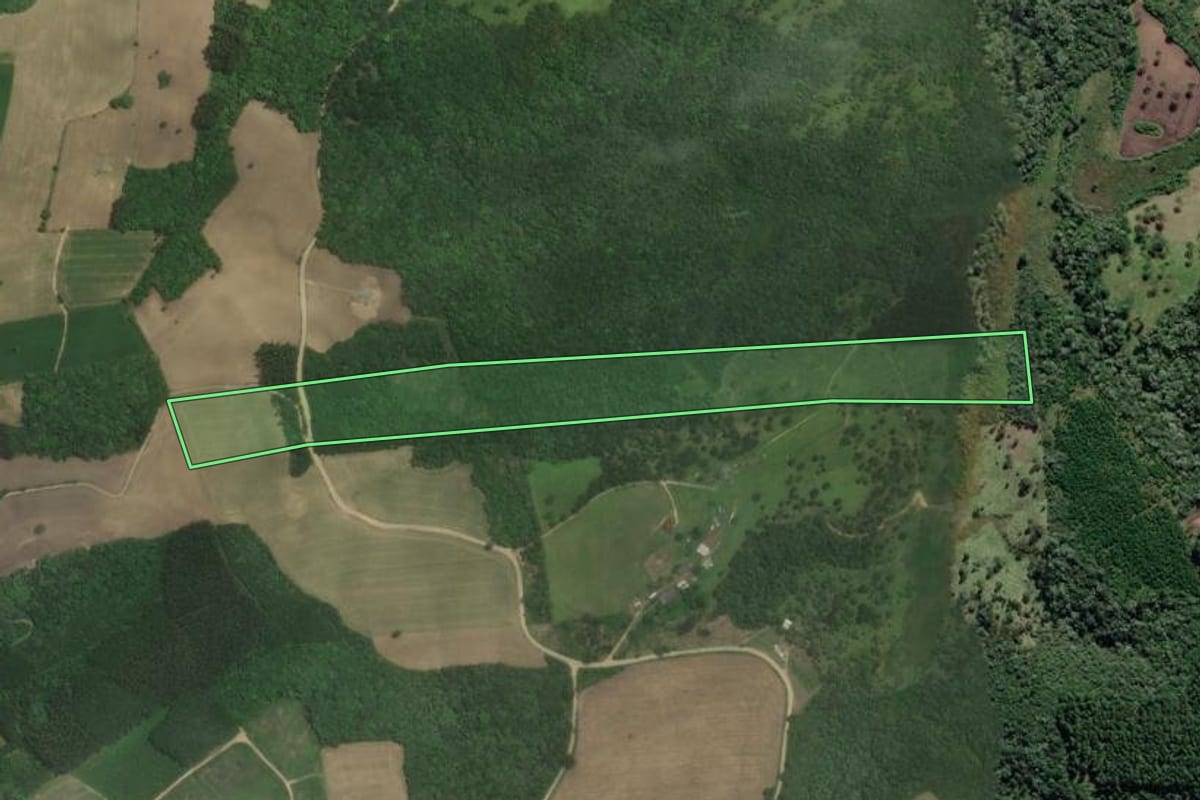 Imagem de satélite do imóvel rural em Rio Negrinho (SC), com o contorno declarado no CAR desenhado por cima.