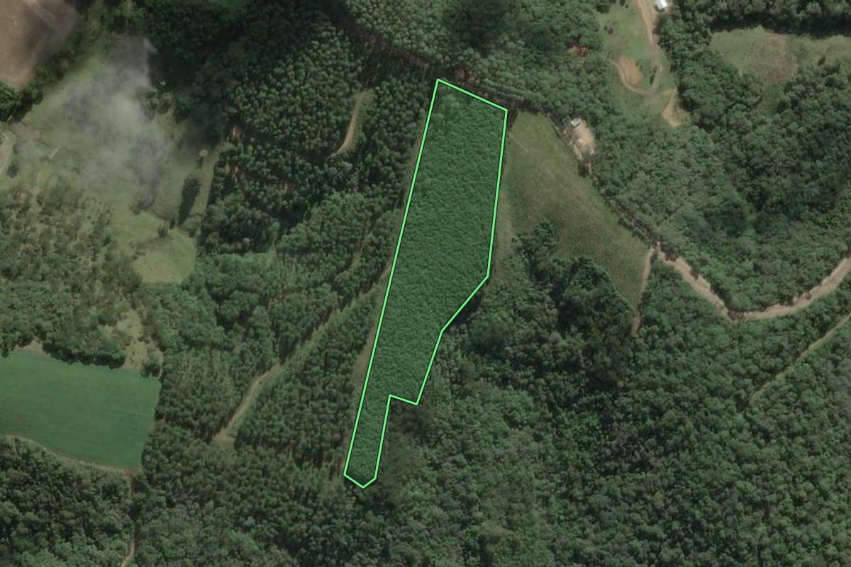 Imagem de satélite do imóvel rural em Rio Negrinho (SC), com o contorno declarado no CAR desenhado por cima.