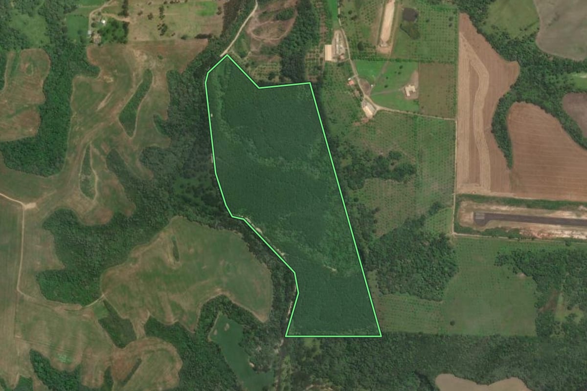 Imagem de satélite do imóvel rural em Rio Negrinho (SC), com o contorno declarado no CAR desenhado por cima.