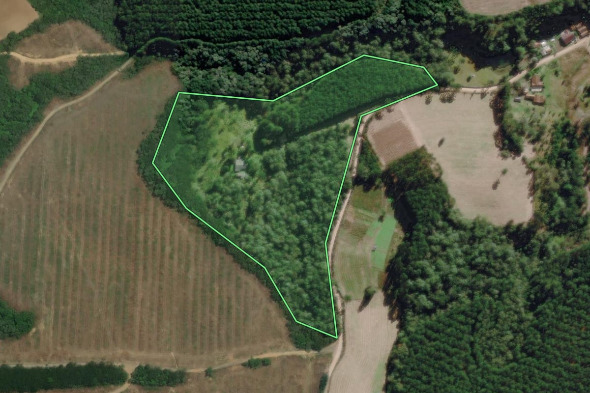 Imagem de satélite do imóvel rural em Rio Negrinho (SC), com o contorno declarado no CAR desenhado por cima.
