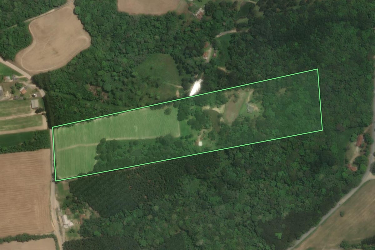 Imagem de satélite do imóvel rural em Rio Negrinho (SC), com o contorno declarado no CAR desenhado por cima.