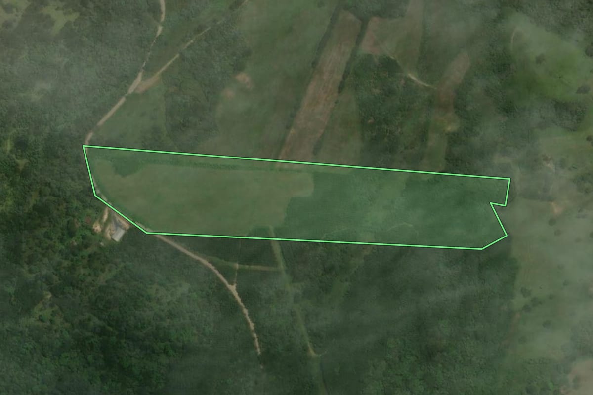 Imagem de satélite do imóvel rural em Rio Negrinho (SC), com o contorno declarado no CAR desenhado por cima.