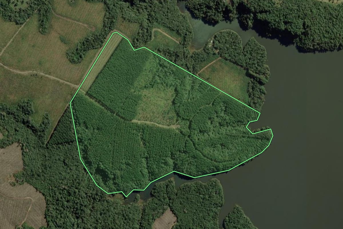 Imagem de satélite do imóvel rural em Rio Negrinho (SC), com o contorno declarado no CAR desenhado por cima.