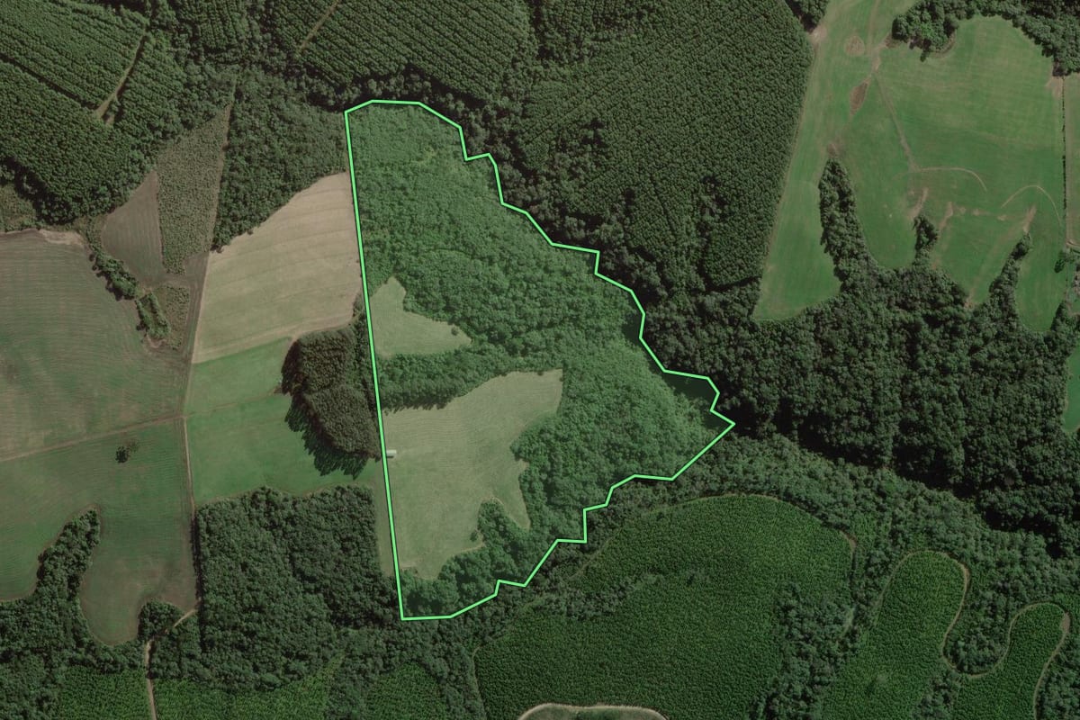 Imagem de satélite do imóvel rural em Rio Negrinho (SC), com o contorno declarado no CAR desenhado por cima.