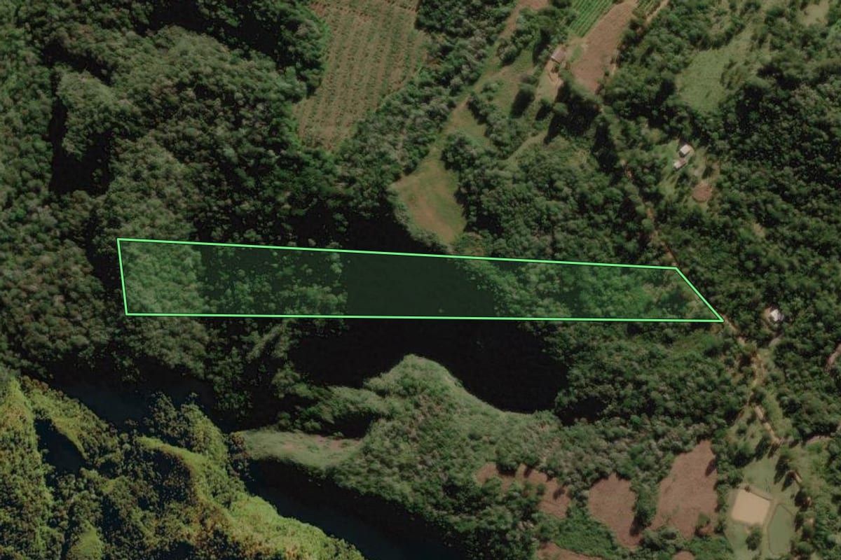 Imagem de satélite do imóvel rural em Rio Rufino (SC), com o contorno declarado no CAR desenhado por cima.