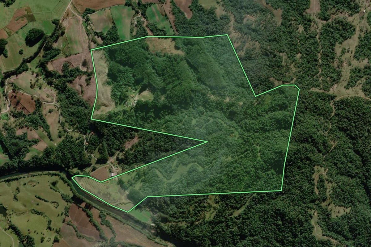 Imagem de satélite do imóvel rural em Rio Rufino (SC), com o contorno declarado no CAR desenhado por cima.
