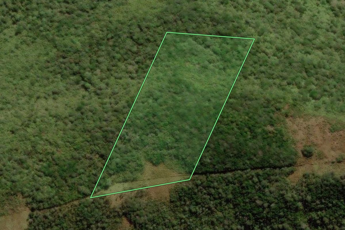 Imagem de satélite do imóvel rural em Rio Rufino (SC), com o contorno declarado no CAR desenhado por cima.
