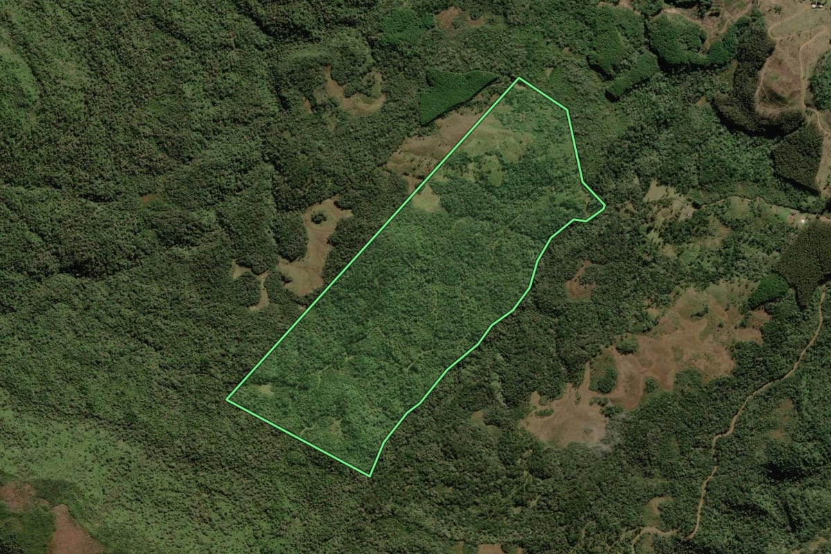 Imagem de satélite do imóvel rural em Rio Rufino (SC), com o contorno declarado no CAR desenhado por cima.
