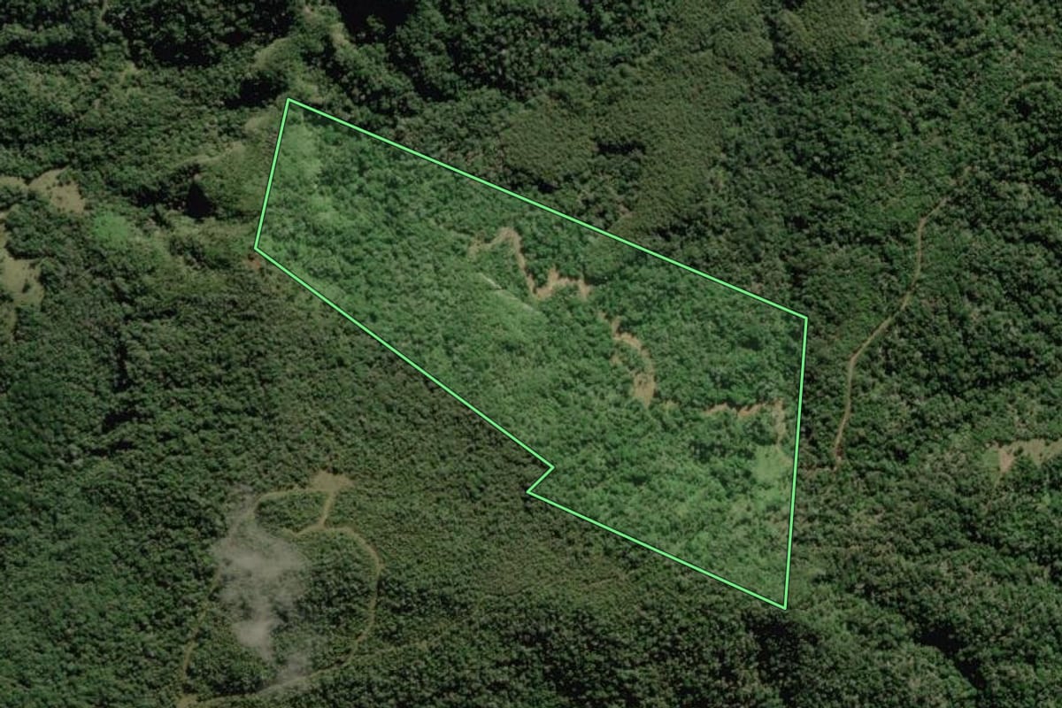 Imagem de satélite do imóvel rural em Rio Rufino (SC), com o contorno declarado no CAR desenhado por cima.