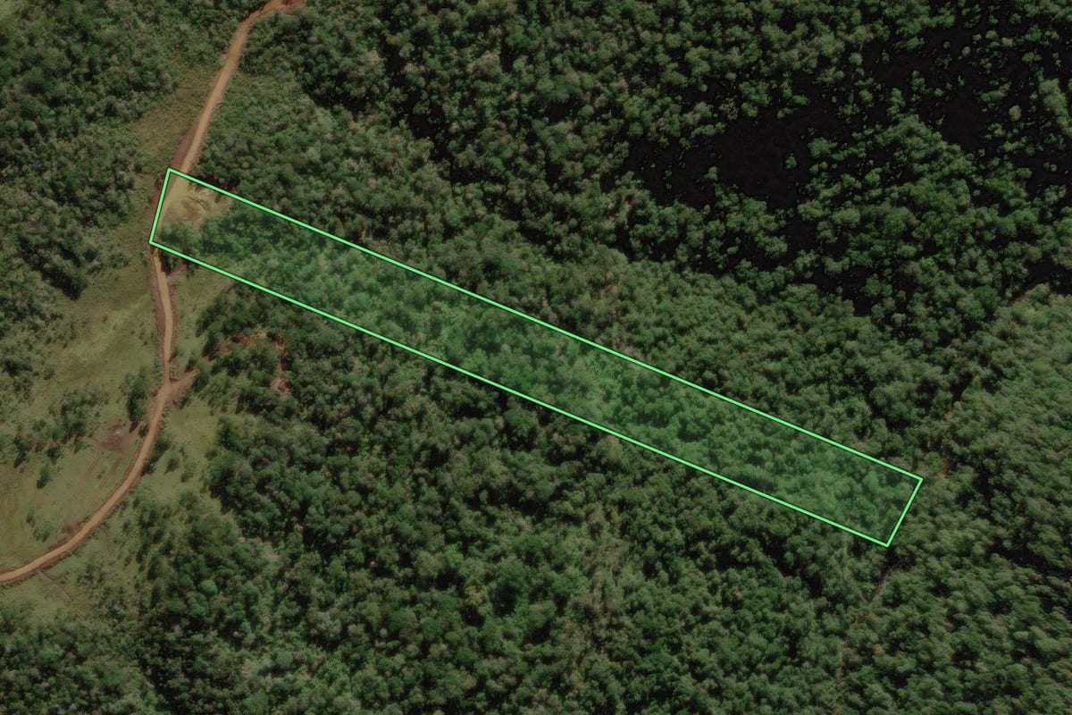Imagem de satélite do imóvel rural em Rio Rufino (SC), com o contorno declarado no CAR desenhado por cima.