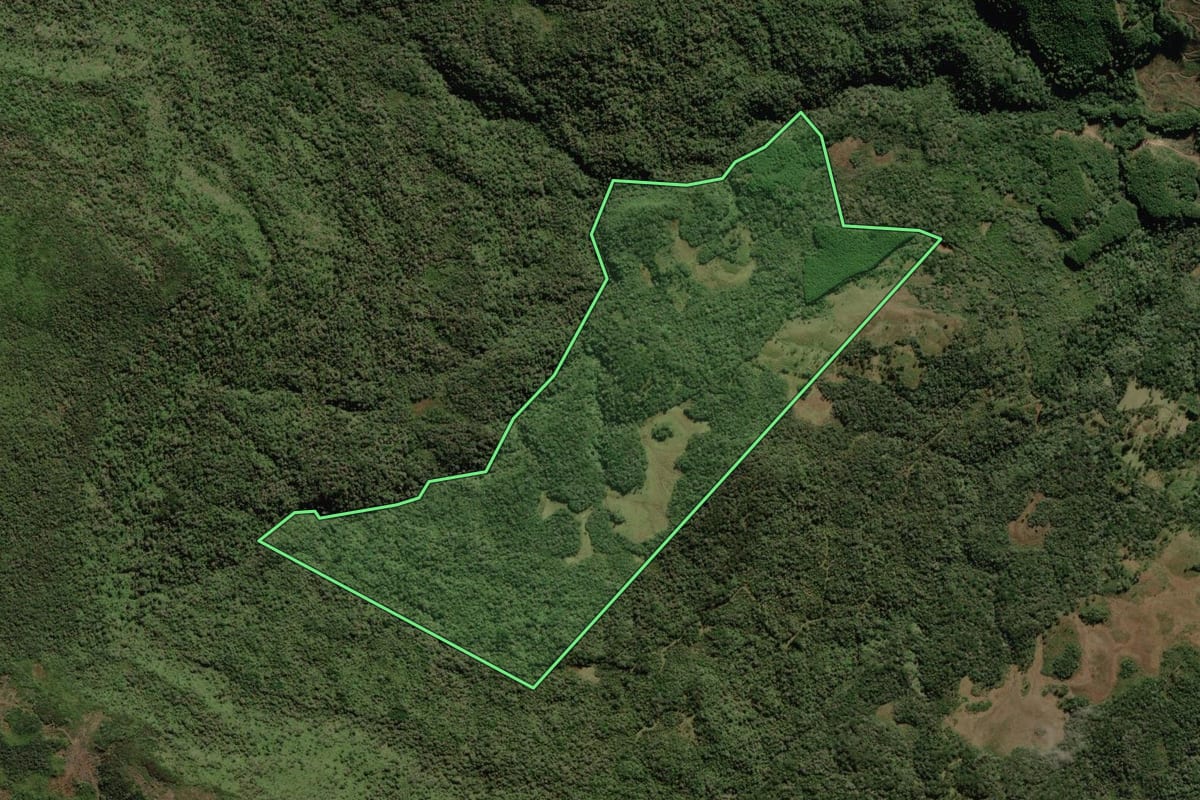Imagem de satélite do imóvel rural em Rio Rufino (SC), com o contorno declarado no CAR desenhado por cima.