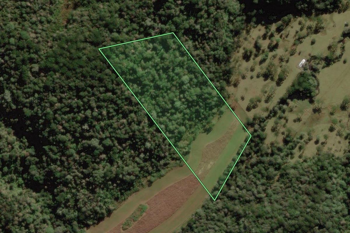 Imagem de satélite do imóvel rural em Rio Rufino (SC), com o contorno declarado no CAR desenhado por cima.