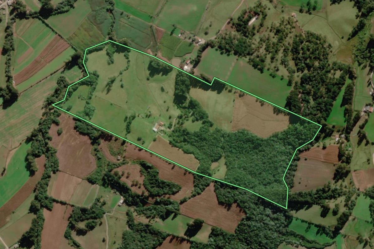 Imagem de satélite do imóvel rural em Rio Rufino (SC), com o contorno declarado no CAR desenhado por cima.